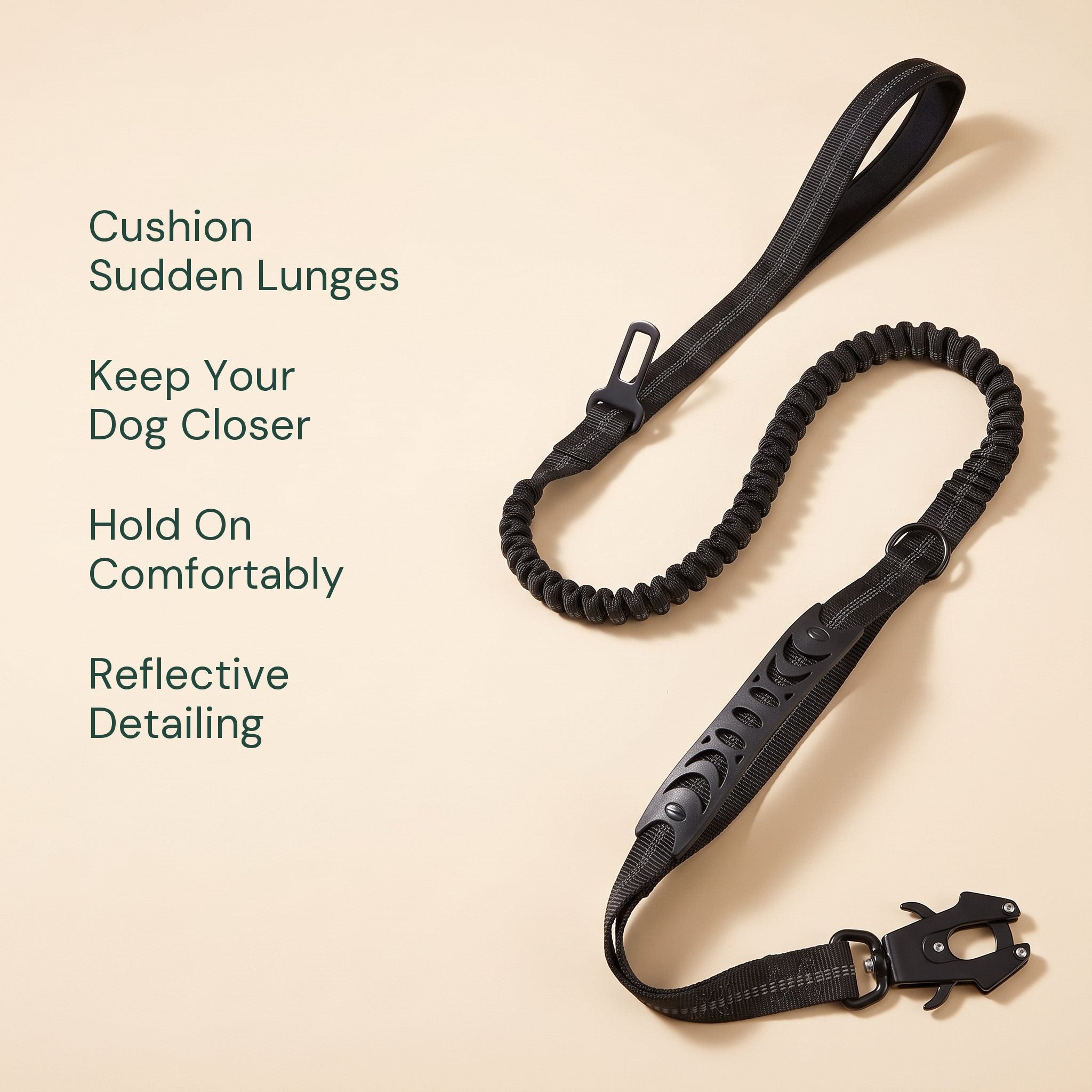 Black leash with four useful walking details