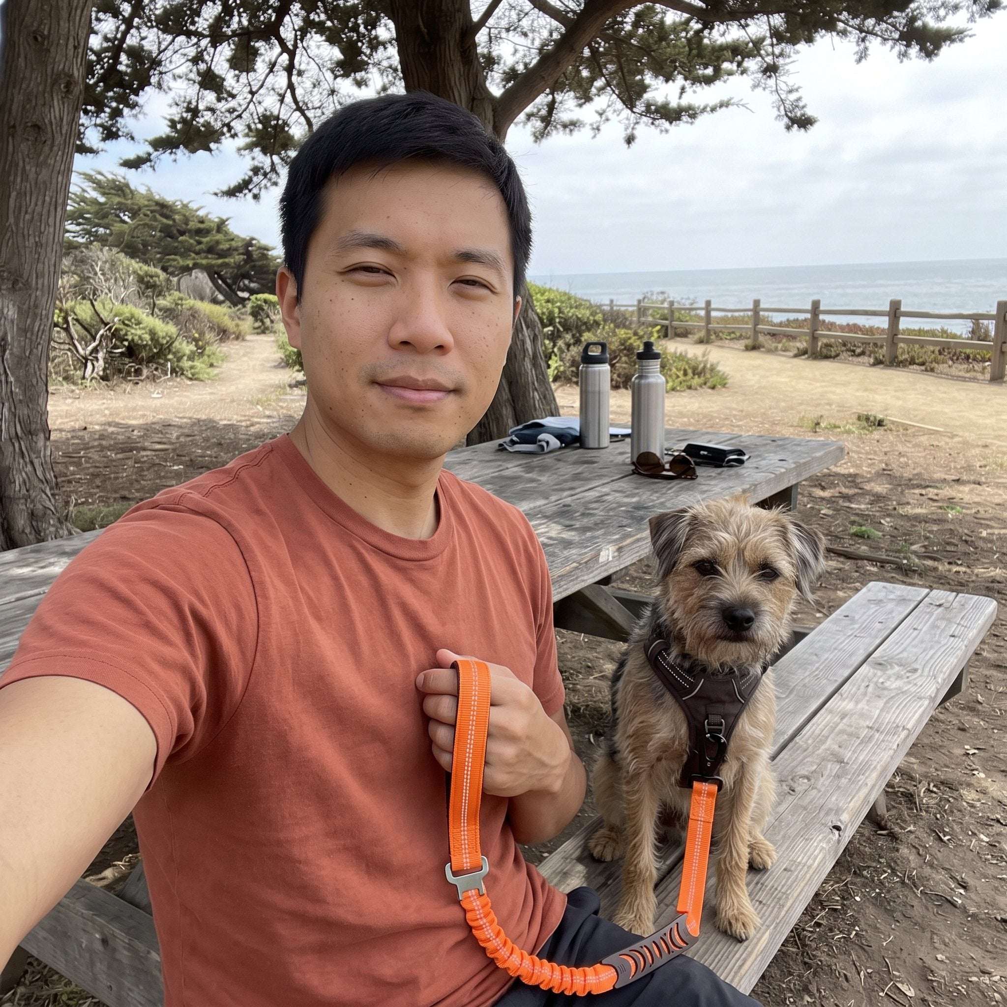 Trailkind leash in an everyday dog-walking scene 8