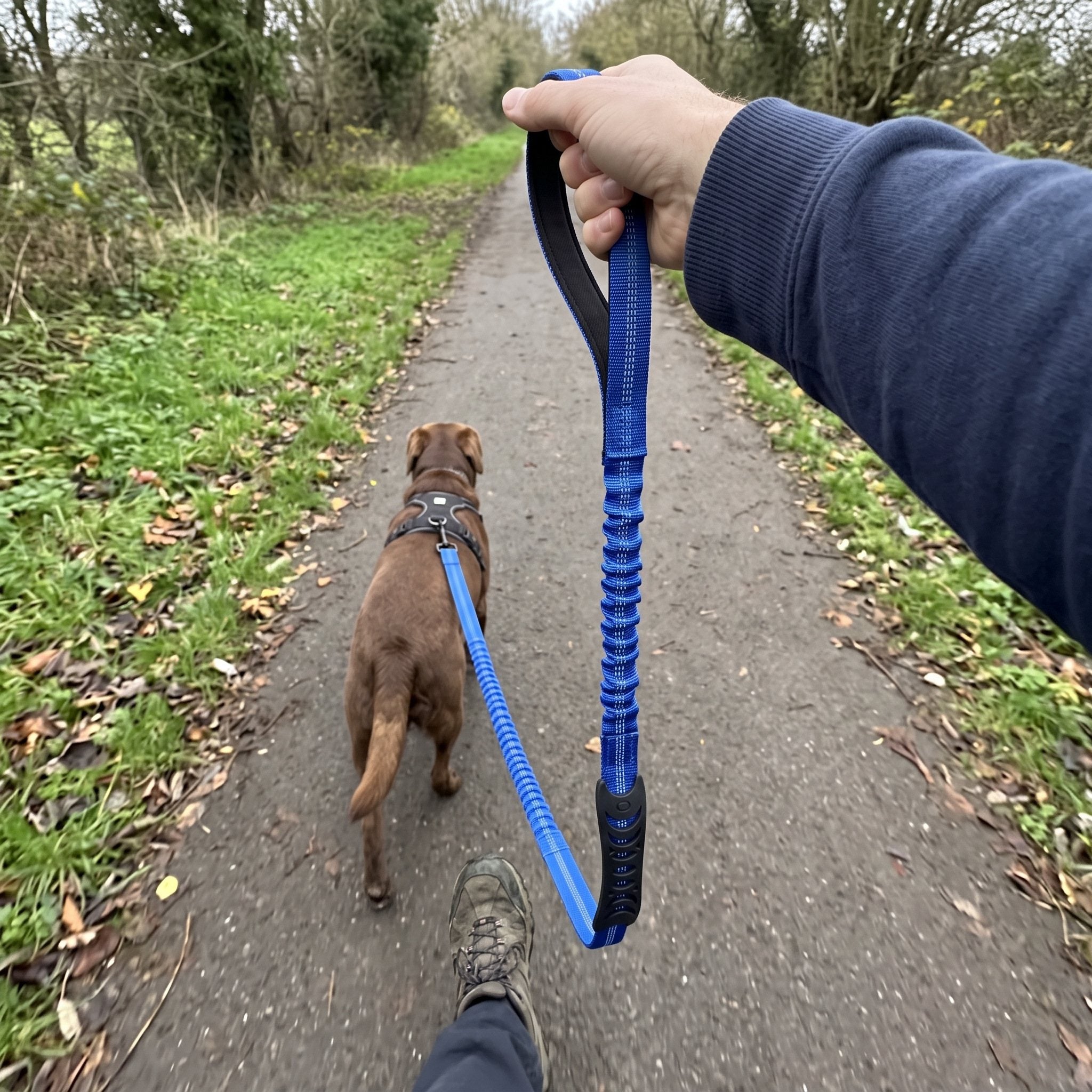 James T. with a dog and Trailkind leash outdoors